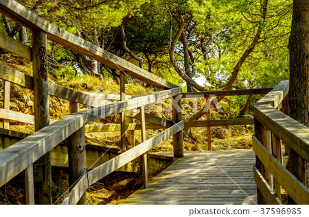 wooden boardwalk leading to the sandy beach wooden boardwalk leading to the sandy beach 37596985