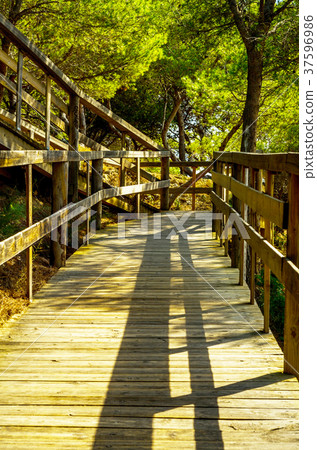 wooden boardwalk leading to the sandy beach 37596986