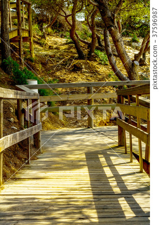 wooden boardwalk leading to the sandy beach wooden boardwalk leading to the sandy beach 37596987