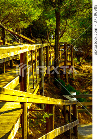 wooden boardwalk leading to the sandy beach wooden boardwalk leading to the sandy beach 37596988