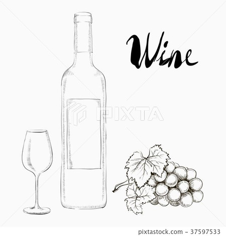 Hand Drawn Illustration Wine Glass and Bottle Hand Drawn Illustration Wine Glass and Bottle 37597533