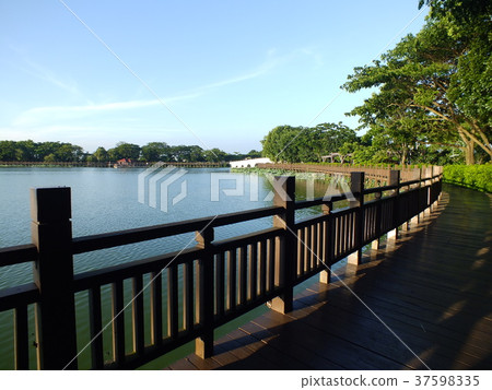 Swan Lake Environmental Water Park, Xinying District, Tainan City 37598335