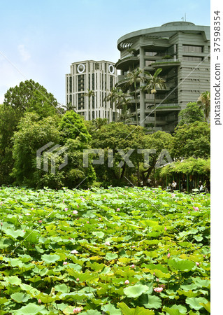台北市植物園 37598354
