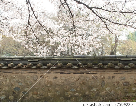 Gyeongju Daehungwon(Chunmaeon) Gyeongju Daehungwon(Chunmaeon) 37599220