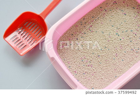 cat litter in pink box and red plastic shovel cat litter in pink box and red plastic shovel 37599492
