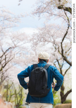 Flower view 37599544