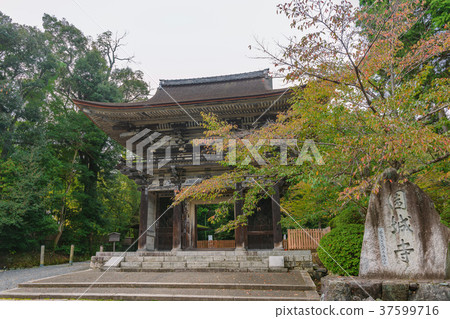 Scenery of Daimyo Temple (Sonjoji Temple) Scenery of Daimyo Temple (Sonjoji Temple) 37599716