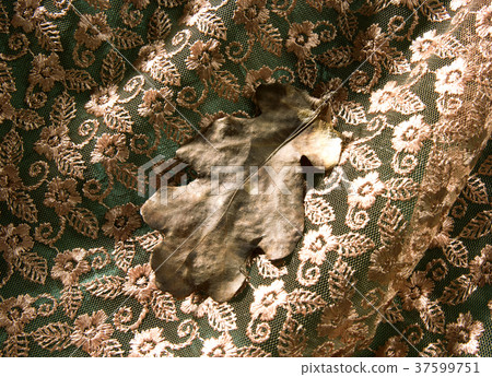 Fragments of fabrics and oak leaf. 37599751