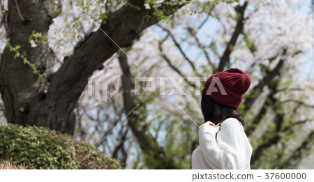 55,600+ Cherry Print Stock Photos, Pictures & Royalty-Free Images - iStock