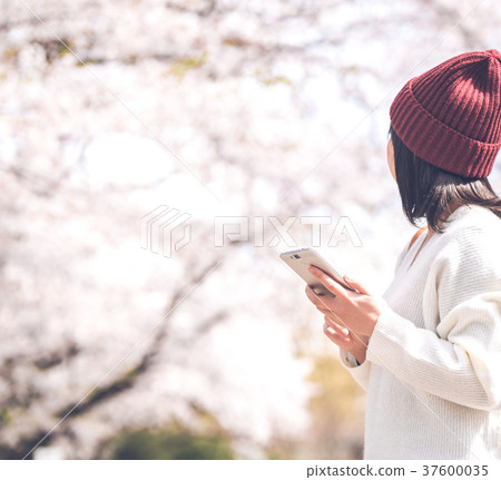 smartphone  37600035