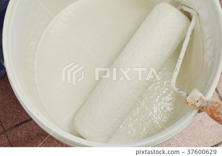 paint roller in white color bucket prepare to used paint roller in white color bucket prepare to used 37600629