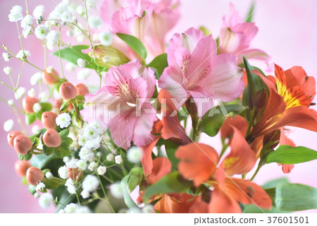 花束 花束 37601501