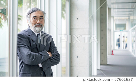 Professor standing in the university corridor Professor standing in the university corridor 37601687