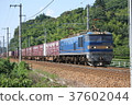 locomotive, freight train, goods train 37602044