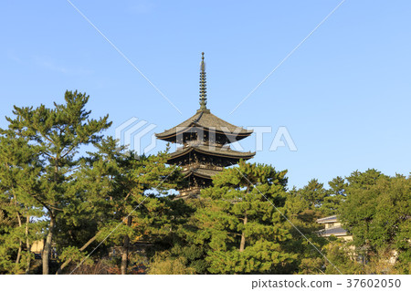 Nara Prefecture, Kofukuji Temple, Five-storied Pagoda 37602050