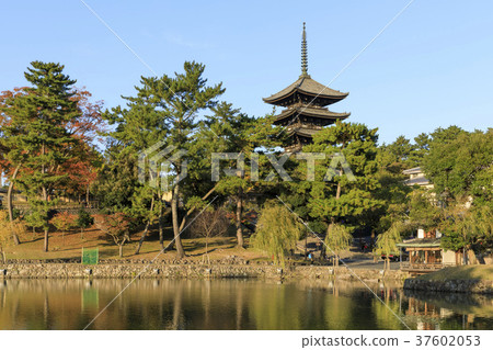 奈良縣，興福寺五重塔和Saruzawa池塘 37602053