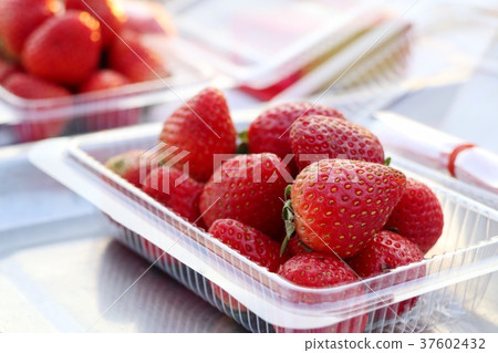 Fresh strawberry at street food 37602432