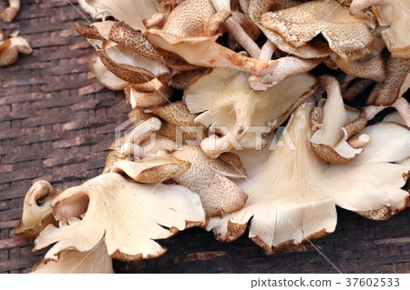 Fresh mushrooms at the market 37602533