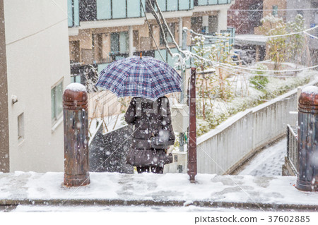 People walking in snowfall 37602885