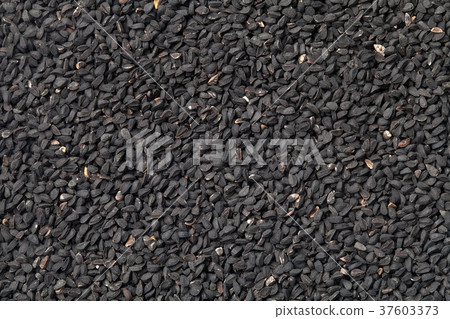 Nigella Sativa, Black Cumin Background Nigella Sativa, Black Cumin Background 37603373