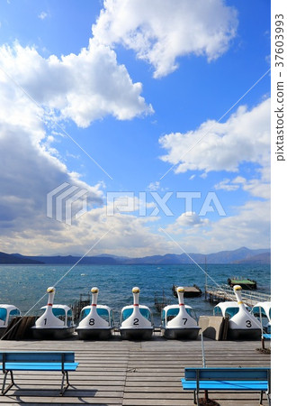 Hokkaido Chitose Lake Shikotsu Flock of swan boats Hokkaido Chitose Lake Shikotsu Flock of swan boats 37603993