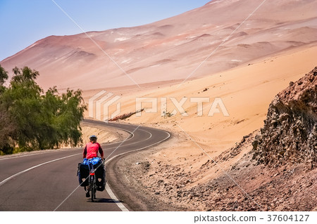On the road to Park Lauca 37604127