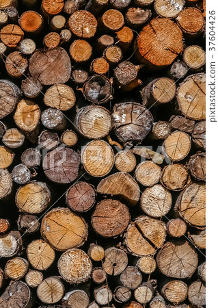 Pile of firewood 37604426