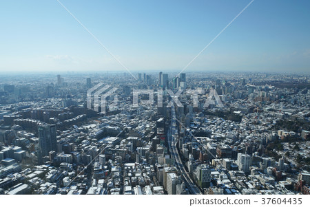 Tokyo cityscape in Japan · One dawn from the first major snowfall in four years "I see Hiroo and Shibuya etc." = taken on January 23, 2018 37604435