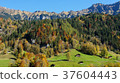 landscape, landscapes, scenics 37604443