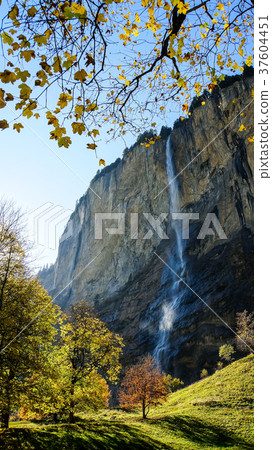 landscape, landscapes, scenics 37604451
