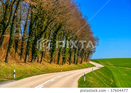 Rural Road in Switzerland 37604477