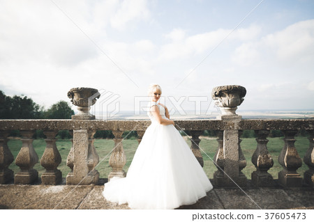 Beautiful elegant bride with perfect wedding dress Beautiful elegant bride with perfect wedding dress 37605473