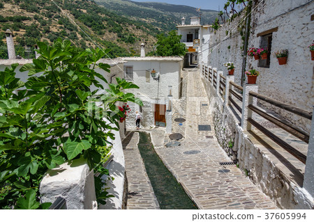 Paved streets in Alpujarra Paved streets in Alpujarra 37605994