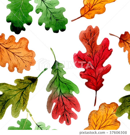 Autumn leaf of oak pattern in a hand drawn - Stock Illustration ...