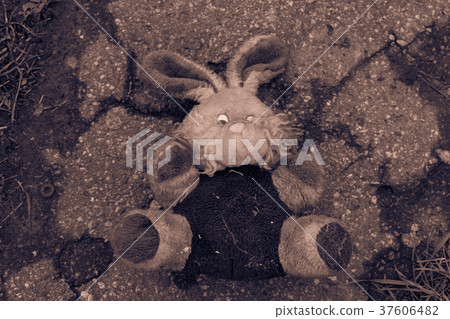 Abandoned bunny doll on the pavement 37606482