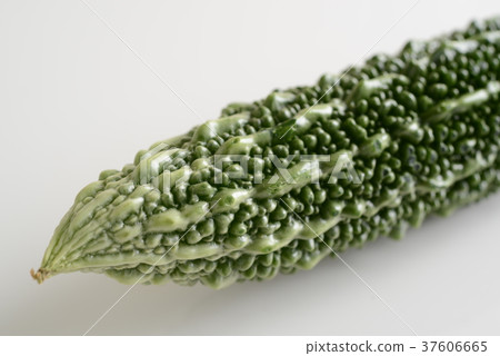 Fresh crane 37606665