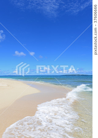 沖繩美麗的海灘 沖繩美麗的海灘 37606666