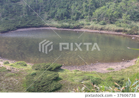 Mirror pond Mirror pond 37606738