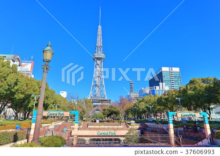 Central Park and Nagoya TV Tower 37606993