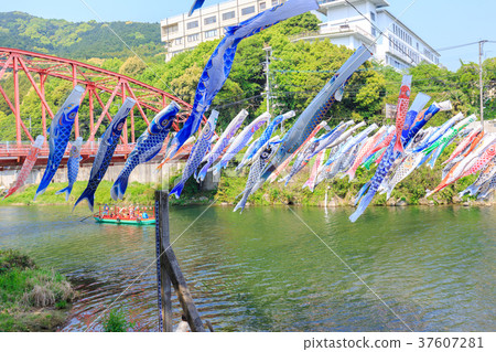 在季節豐川安橋峽谷結束時沿河游泳的鯉魚旗 37607281