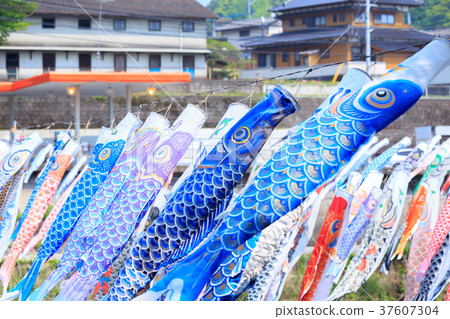 A carp streamer that swims along the river at the end of the season Sagagawa Onkyo Gorge 37607304