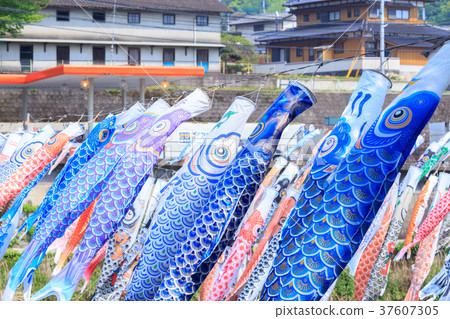 A carp streamer that swims along the river at the end of the season Sagagawa Onkyo Gorge 37607305