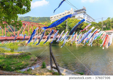 A carp streamer that swims along the river at the end of the season Sagagawa Onkyo Gorge 37607306