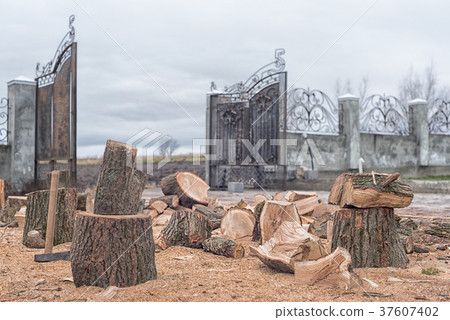 Oak firewood, preparing for the heating season Oak firewood, preparing for the heating season 37607402