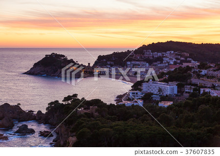 Tossa de Mar Tossa de Mar 37607835