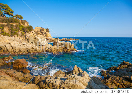 Cala Banys Lloret 37607868