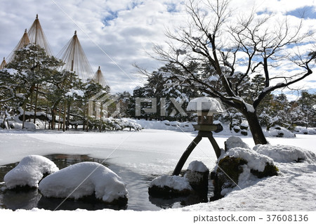 Special scenic spot Kenrokuen Winter hanging lanterns and snow hanging Special scenic spot Kenrokuen Winter hanging lanterns and snow hanging 37608136