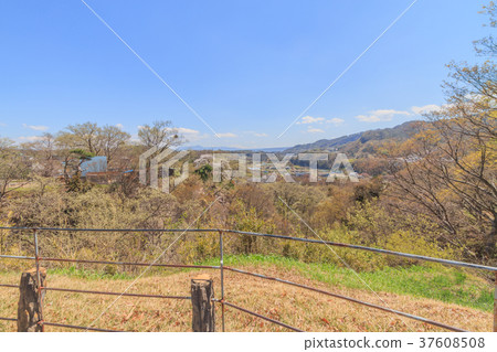 Landscape seen from Fujimi Observatory in the nostalgic garden of spring 37608508