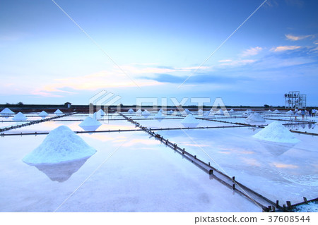 雪白鹽田 37608544