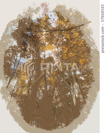 Lake autumn beech forest Lake autumn beech forest 37608583
